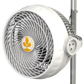 30W Monkey Fan v2.0 - Reefer Madness