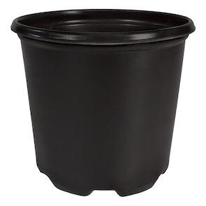 1 Gallon Thermo Pot - New Mold - Reefer Madness