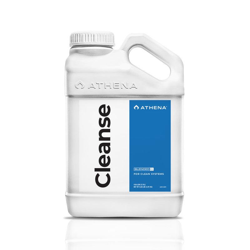 CLEANSE - Reefer Madness