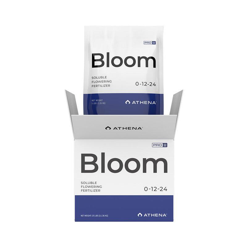 BLOOM - Reefer Madness
