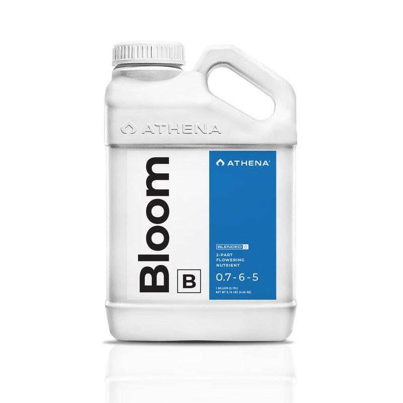 BLOOM B - Reefer Madness