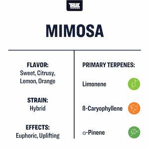 True Terpenes Mimosa Profile - Reefer Madness