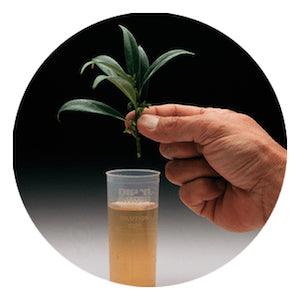 Dip’N Grow 1 gal - Reefer Madness