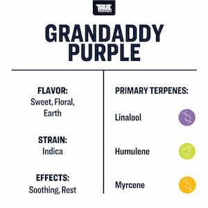 True Terpenes Granddaddy Purple Profile - Reefer Madness