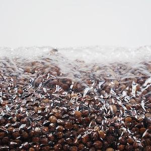SuperSpore Mushroom Grain Bag 4lbs - Reefer Madness