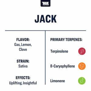 True Terpenes Jack Herrer Profile Precision - Reefer Madness