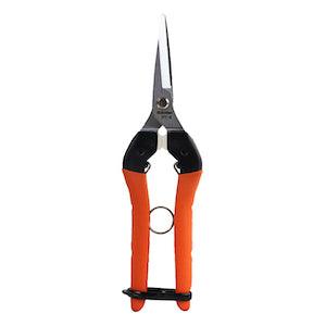 Saboten Harvesting Scissors 190MM (PT-6) - Reefer Madness