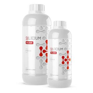 Silicium Bloom - Reefer Madness