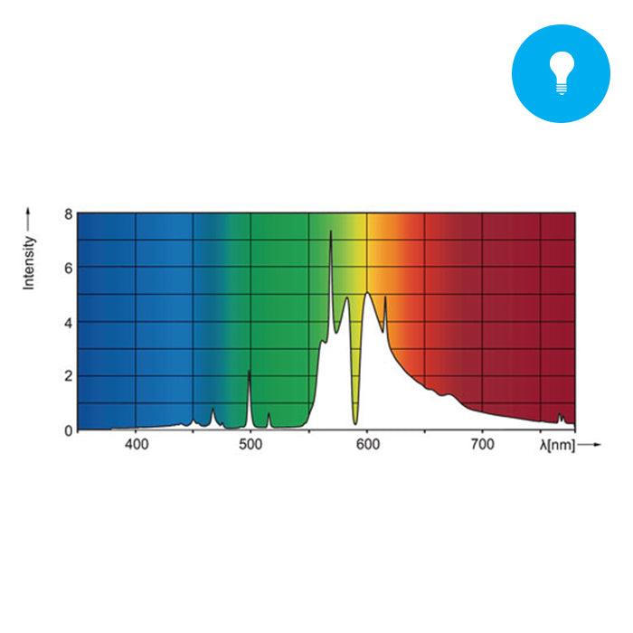 Philips Master GP DE 1000W Lamp - Reefer Madness